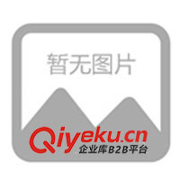 09年春夏休閑情侶裝，運動時尚裝，征全國各地批發商